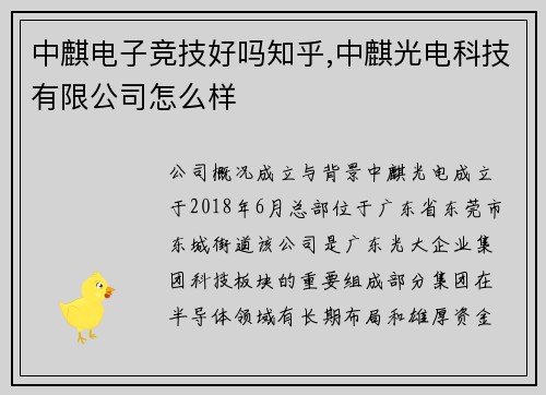 中麒电子竞技好吗知乎,中麒光电科技有限公司怎么样